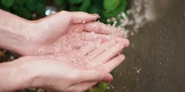 Grupo Boticário atualiza seus compromissos ESG para 2030 