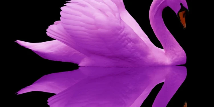 “Cisne roxo”- Nubank comunica ao mercado que vai entrar no mercado de  telecom