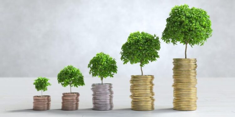 Empresas Brasileiras Distribuem Dividendos em Junho de 2024: Petrobras, Cemig e Mais