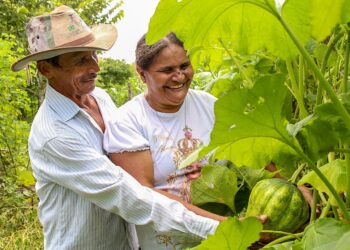 Ceará lança Programa Sertão Vivo com investimento de R$ 251,6 milhões