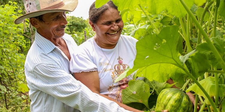 Ceará lança Programa Sertão Vivo com investimento de R$ 251,6 milhões
