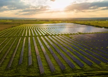 MB lança Fist, primeiro token de Renda Variável Digital no setor de energia elétrica