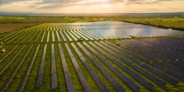MB lança Fist, primeiro token de Renda Variável Digital no setor de energia elétrica