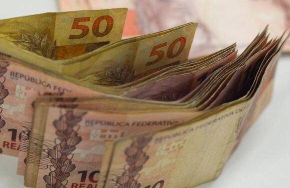 Nordeste lidera recuperação de crédito no Brasil