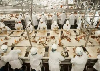 JBS (JBSS3): China bloqueia embarque de carne bovina