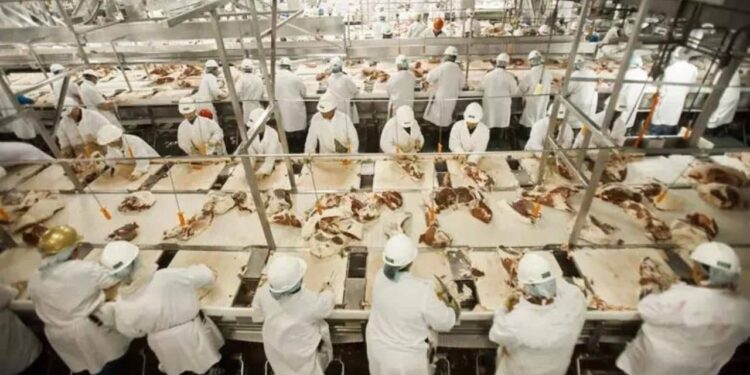 JBS (JBSS3): China bloqueia embarque de carne bovina