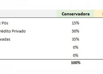 Carteira de investimentos eficiente passa pelo perfil de risco, mas crédito privado deve compor a maior parte do portfólio