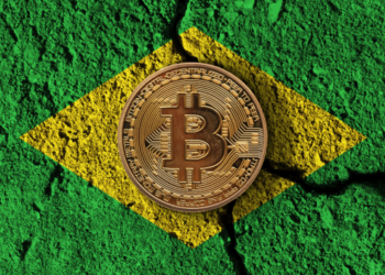 Importação de Criptoativos Alcança US$ 7,9 Bilhões em 2024, Diz Banco Central