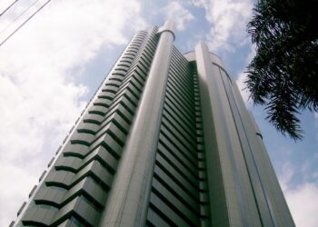 SNLG11 alcança lucro acumulado de R$ 0,46 e gestora prevê dividendos regulares