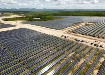 Chineses fazem investimento de R$ 2 bilhões no Piauí