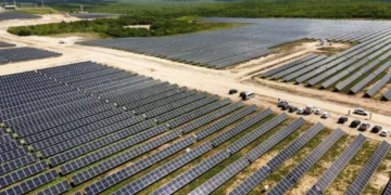 Chineses fazem investimento de R$ 2 bilhões no Piauí
