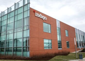 Indigo Ag anuncia venda recorde de créditos de carbono à Microsoft