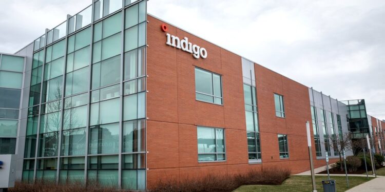Indigo Ag anuncia venda recorde de créditos de carbono à Microsoft