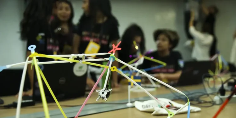 Jovens cientistas receberão apoio de mais de R$ 21 milhões para pesquisas