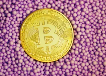 Bitcoin foi o investimento que mais deu retorno no 1º semestre; ações brasileiras ficam no negativo