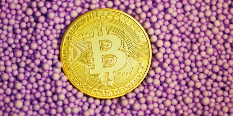Bitcoin foi o investimento que mais deu retorno no 1º semestre; ações brasileiras ficam no negativo
