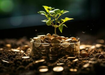 O foco da aliança financeira pró-natureza é nas empresas brasileiras