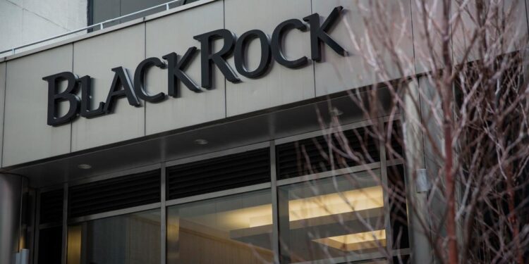 BlackRock dá suporte adicional para fundos climáticos 