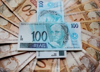 Dividendos do CVBI11 e do RVBI11 são divulgados; veja valores e datas