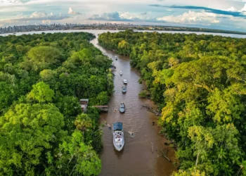 Oportunidades climáticas: o capital privado na corrida rumo à economia de baixo carbono