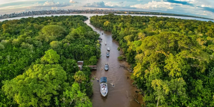 Oportunidades climáticas: o capital privado na corrida rumo à economia de baixo carbono