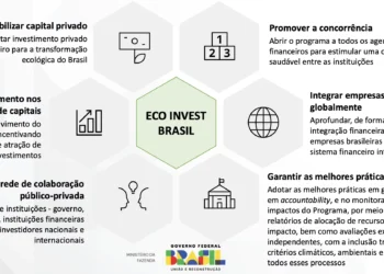 CERON: CADA US$ 1 BI ALOCADO EM LEILÃO DO ECO INVEST BRASIL DEVE ALAVANCAR US$ 10 BI