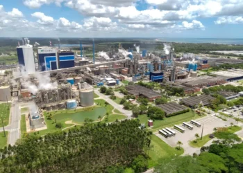 Como a Suzano investiu 22 bilhões de dólares em uma nova fábrica “estado da arte”
