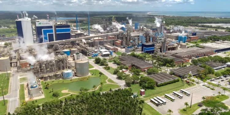 Como a Suzano investiu 22 bilhões de dólares em uma nova fábrica “estado da arte”