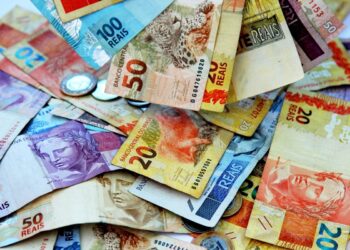 SNEL11 divulga dividendos de 13,9% ao ano; veja o valor e data de pagamento