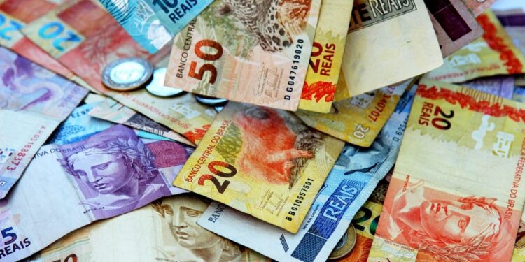 SNEL11 divulga dividendos de 13,9% ao ano; veja o valor e data de pagamento