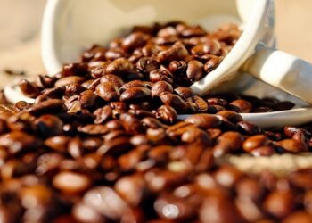 O desafio de atender à lei antidesmate da UE é demonstrado pelo café brasileiro