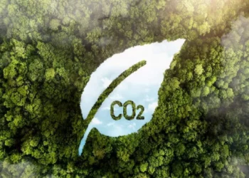 Uso de créditos de carbono é criticado pela ONU, diz FT