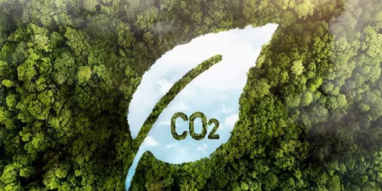 Uso de créditos de carbono é criticado pela ONU, diz FT