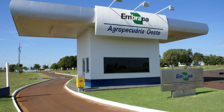 O agronegócio beneficia da colaboração entre o setor público, academia, empresas e as startups