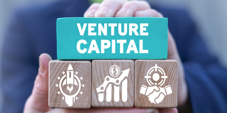 A (re)volta do mercado de venture capital no Brasil  