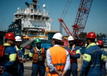 Wilson Sons (PORT3) aprova aumento de capital e R$ 108 milhões em dividendos 
