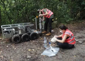 A final da “gincana” da biodiversidade na Amazônia tem prêmio de US$ 10 mi