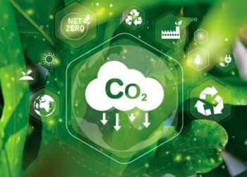 Sinais divergentes sobre créditos de carbono são transmitidos por “arbitros” do net zero