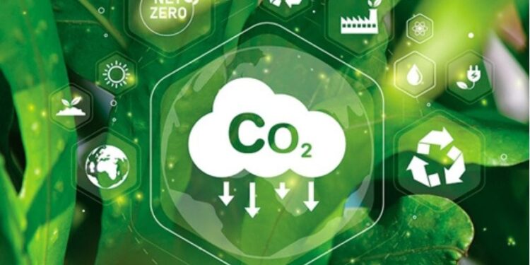 Sinais divergentes sobre créditos de carbono são transmitidos por “arbitros” do net zero