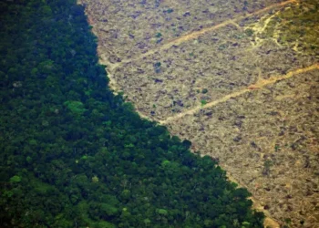 Proposta diz que o Brasil deve reduzir suas emissões em 92% até 2035