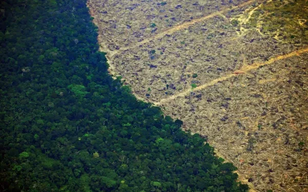 Proposta diz que o Brasil deve reduzir suas emissões em 92% até 2035