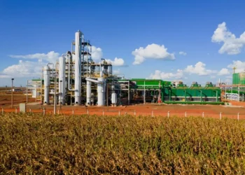 Para produzir etanol de milho em MT, Caramuru e Biocen firmam parceria de 1,1 bi