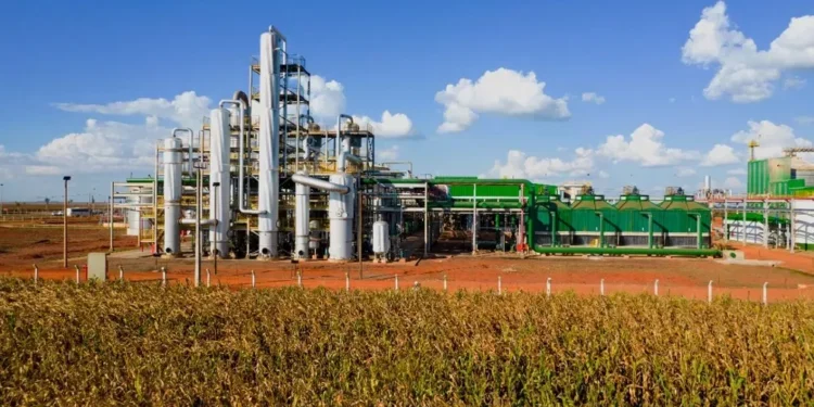 Para produzir etanol de milho em MT, Caramuru e Biocen firmam parceria de 1,1 bi