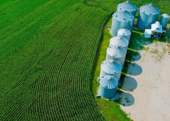 RZTR11 conclui uma compra milionária de uma fazenda em Mato Grosso; veja o valor