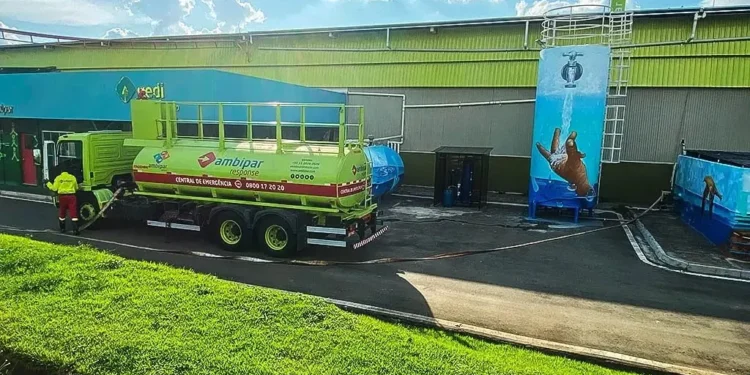 Ambipar (AMBP3): com um aumento de 499% em 2024, a ação continuará crescendo após o resultado