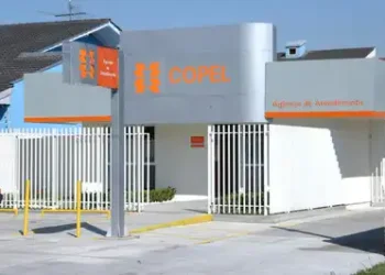 Braço de distribuição da Copel (CPLE6) terá um novo executivo