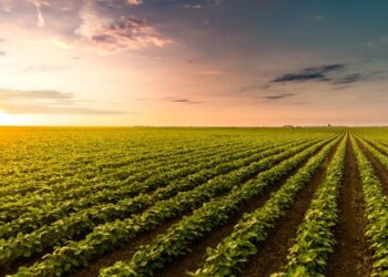 Com SLC, Fama quer demonstrar como o agro pode se adaptar ao clima