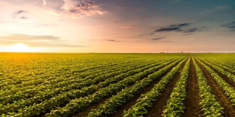 Com SLC, Fama quer demonstrar como o agro pode se adaptar ao clima