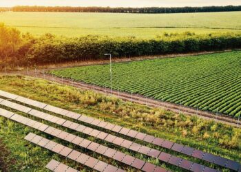 Soluções energéticas mais acessíveis e sustentáveis foram introduzidas no Agro