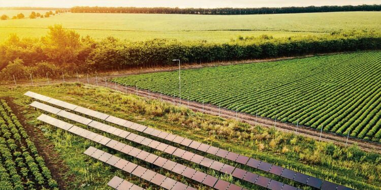Soluções energéticas mais acessíveis e sustentáveis foram introduzidas no Agro
